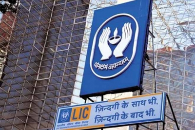 LIC not run by someone’s whims and fancies, has robust regulations in place: Expert