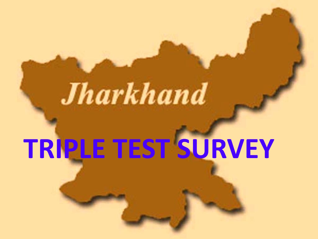 Govt forms 8-member committee to implement Triple Test Survey in urban bodies