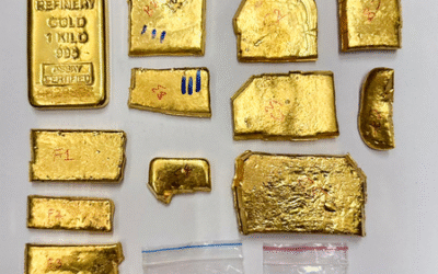 Call for UN to Mark February 11 as International Anti-Smuggling Day