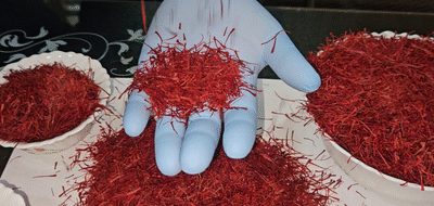 Seven J&K Products Receive GI Tag Recognition