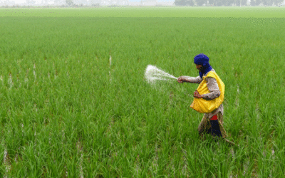 PM-KISAN payouts cross Rs 4.27 lakh crore as latest instalment benefits over 9.3 crore farmers