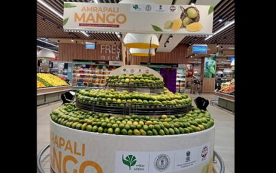 Deoghar’s Amrapali Mangoes Debut in Dubai, Opening Global Market for Women Farmers
