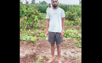 Wild Elephant Herd Ravages Crops in Gola Villages, Farmers Seek Compensation