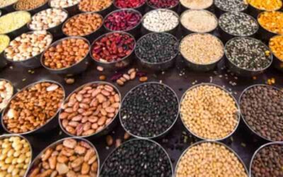 India’s Pulse Imports Fall 31.5% as Domestic Production Rises Under Self-Reliance Mission